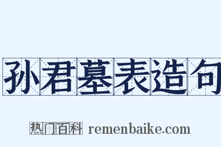 孙君墓表造句是什么意思的图片